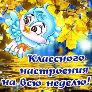 Открытки дни недели