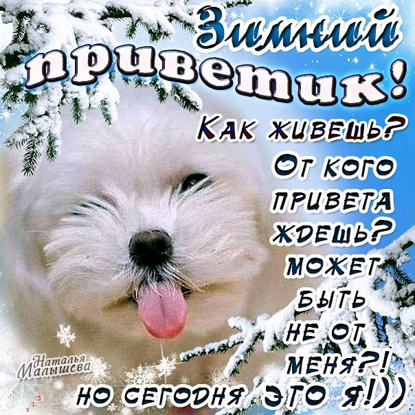 Зимний привет открыточки