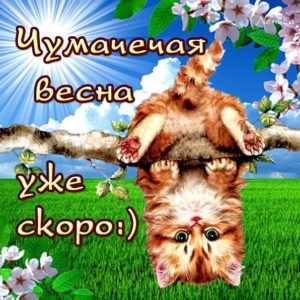С улыбкой открытки весна
