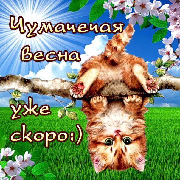 Юморные открытки про весну