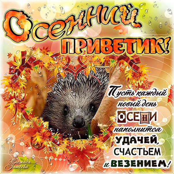 Золотая осень приветик