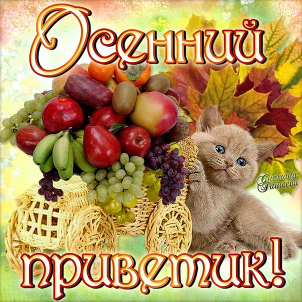 Картинки гиф осенний приветик