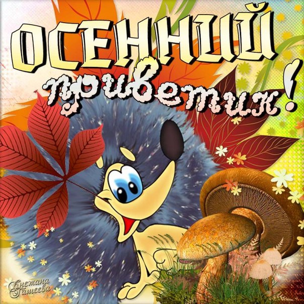Открытка осенний привет