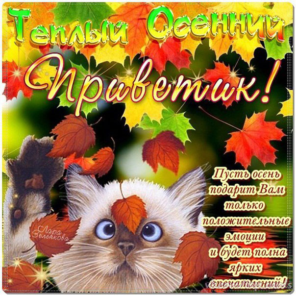 Открытка теплый осенний привет