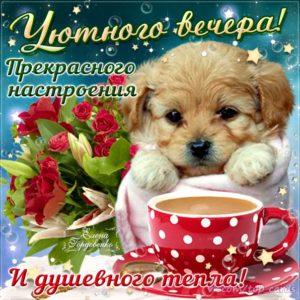 Вечернего тепла открытки вечер
