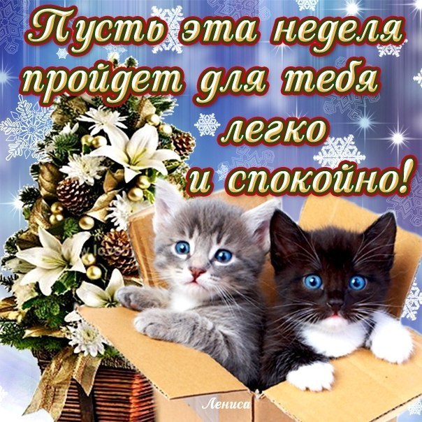 Легкой недели картинки
