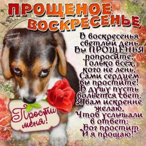С днем прощения анимация картинки