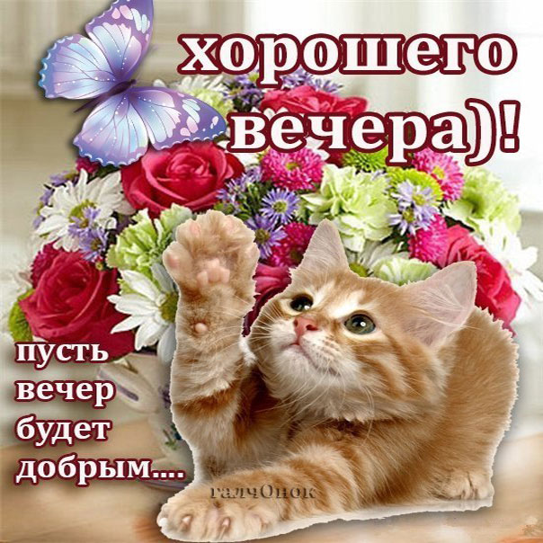 Открытка пожелание хорошего вечера
