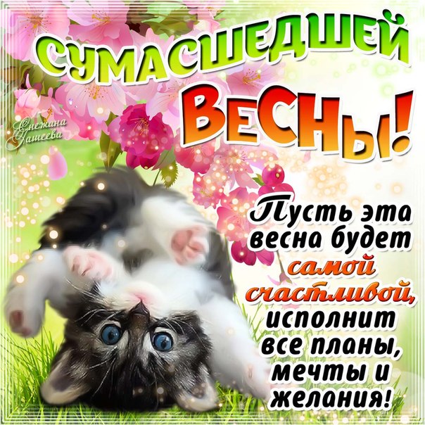 Красивая открытка весна