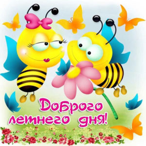 Блестяшки картинки летний день