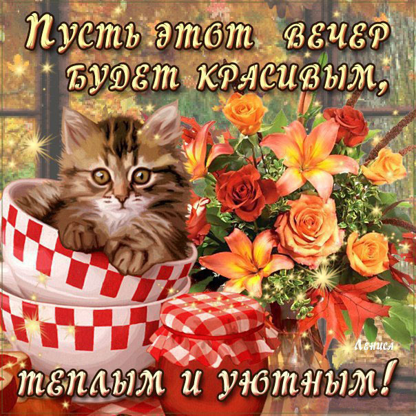 Уютный вечер картинки цветы кот романтика