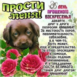 Прости меня мерцающие открытки