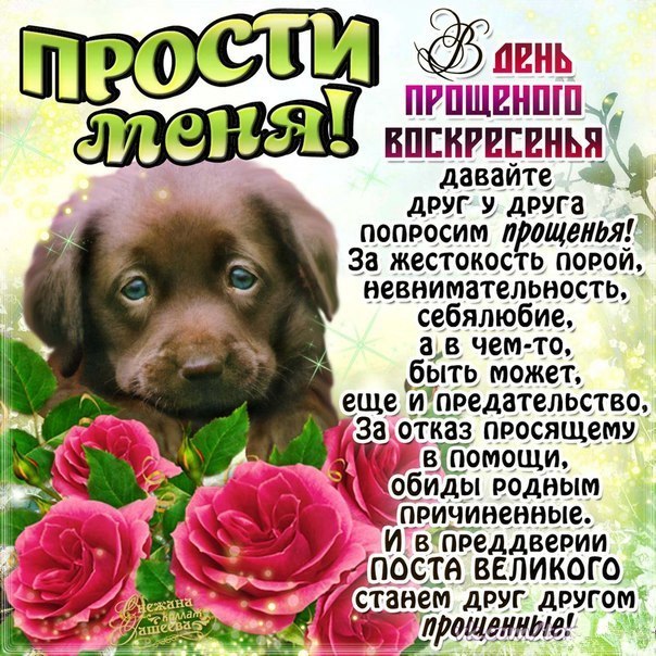 Прости меня мерцающие открытки с надписями