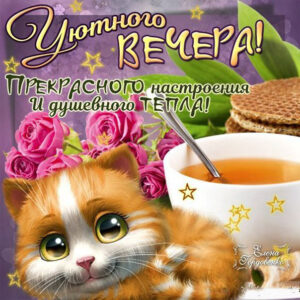 Душевного вечера открытка
