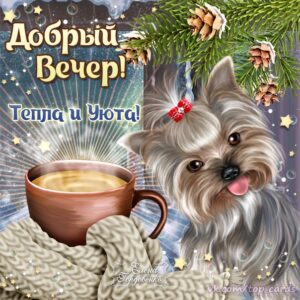 Вечернего тепла и уюта открытка
