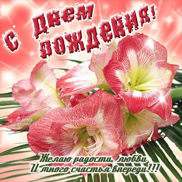 день рождения