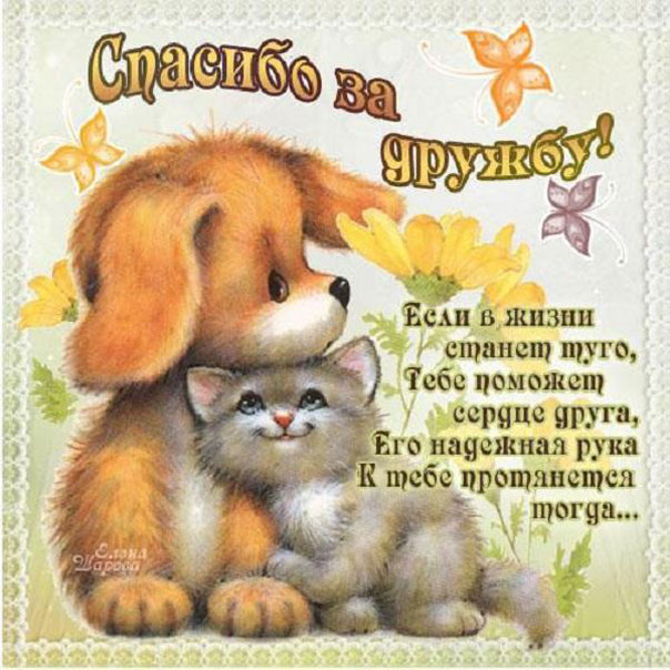 Картинки друзьям с надписями