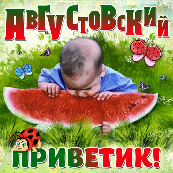 Августовский привет