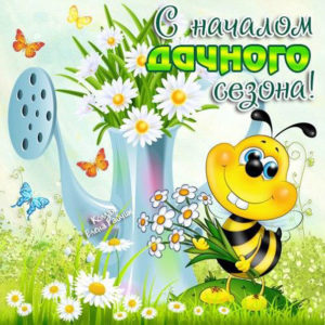 Картинка дачный сезон
