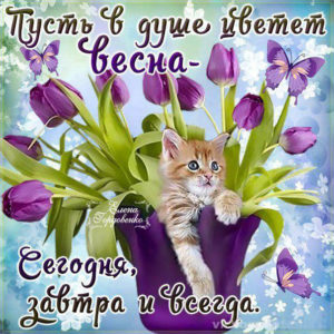 Пожелания открытки с фразами