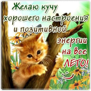 Позитивного и хорошего настроения открытки