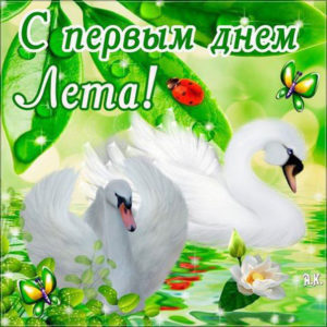 Открытки бесплатно первый день лета