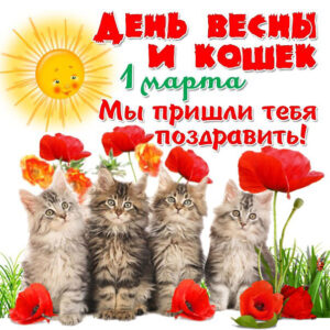Открытки 1 марта весна день кошек