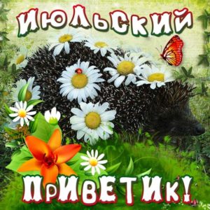 Июльские открытки с цветами