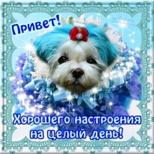 Открытки анимационные хорошего дня