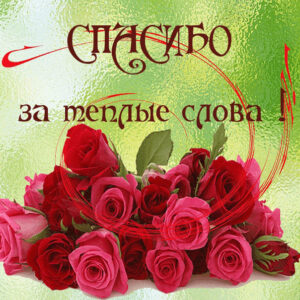 Позитивные открытки спасибо розы