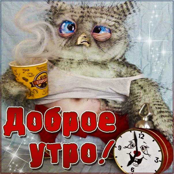 Доброе утро веселая картинка, прикольная сова, с добрым утром позитив