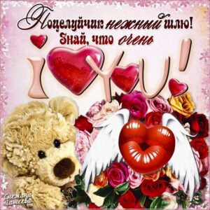 Люблю целую картинки