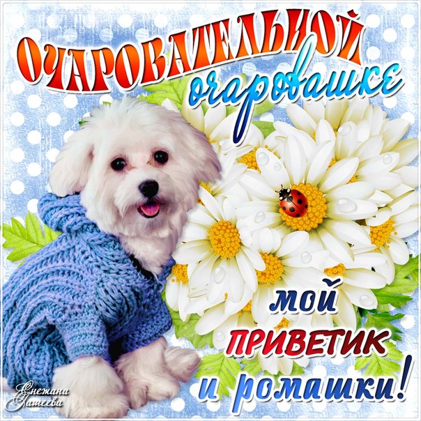 ты очарование открытка