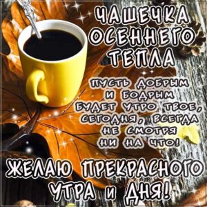 Чашечка осеннего тепла gif