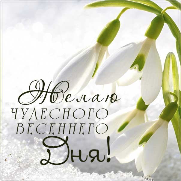 чудесного весеннего дня, весенний день, картинка доброго дня, подснежники весна, картинка с надписью добрый день, отличного настроения, позитивного дня