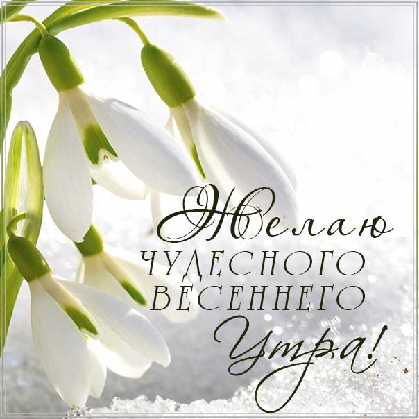 чудесного весеннего утра, весеннее утро, картинка доброго утра, подснежники весна, картинка с надписью доброе утро, отличного настроения, позитивного утра, чудесного утра
