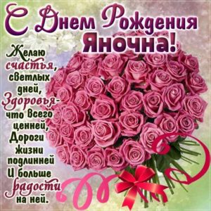 Яна популярные открытки именины
