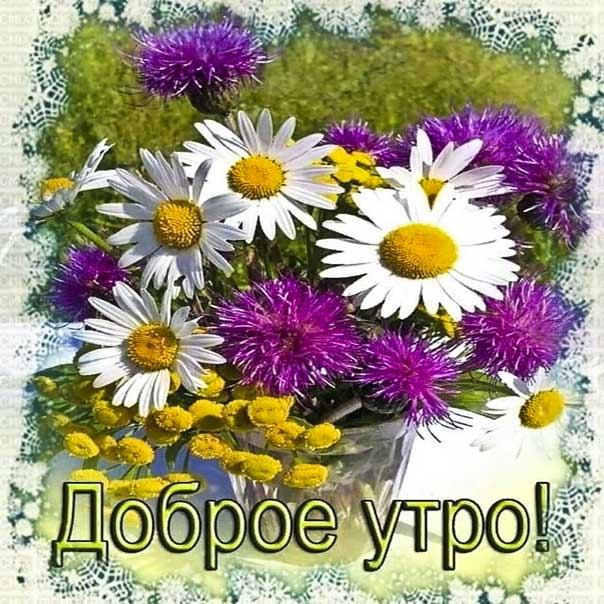 Картинка прекрасного доброго утра. Позитива улыбок, цветы ромашки, текст, красивая надпись, со стихом утро, мигающая, картинки утром, пожелание, картинка.