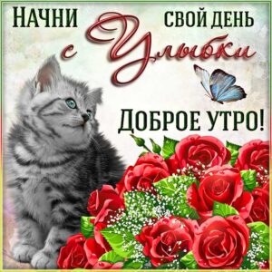 Доброе утро улыбки анимация