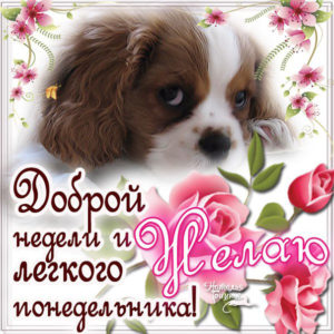 Легкого понедельника открытка