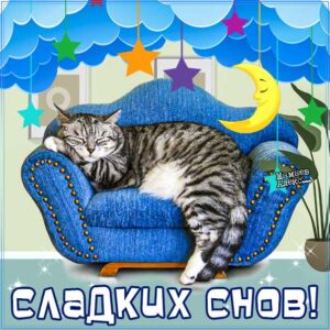 Доброй ночи веселая картинка