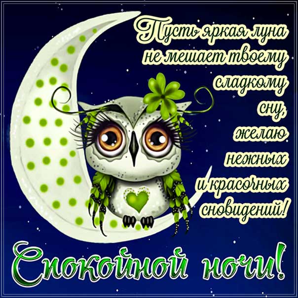 спокойной ночи, доброй ночи, сладких снов, луна, сова, приятных снов, нежных сновидений, снов хороших, цветных снов, прекрасных снов