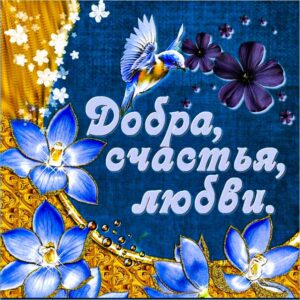 Доброты и любви