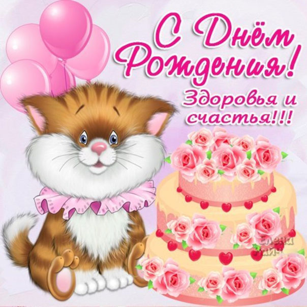 открытки котик
