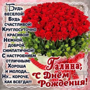 Галина гиф картинки день рождения
