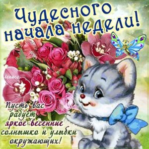 Чудесного начала недели gif