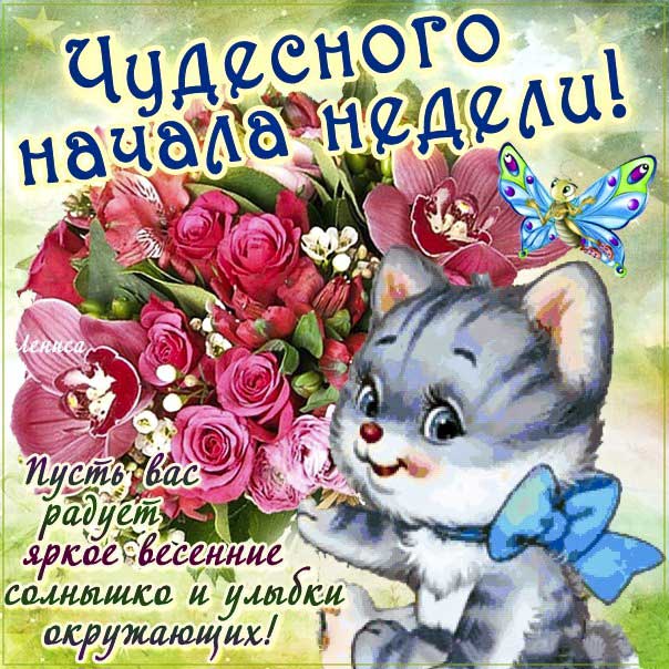 Картинки чудесного начала недели. Цветы, надпись, котенок, с текстом открытки