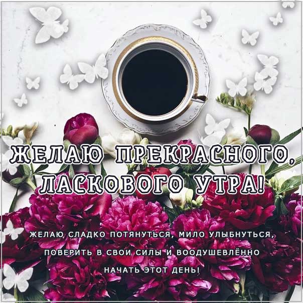 замечательного утра, теплого утра, нежного утра, доброе утро чудесного солнечного дня, прекрасное утро, ласкового утра