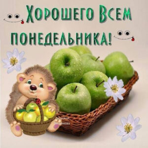 Анимашки хорошего понедельника