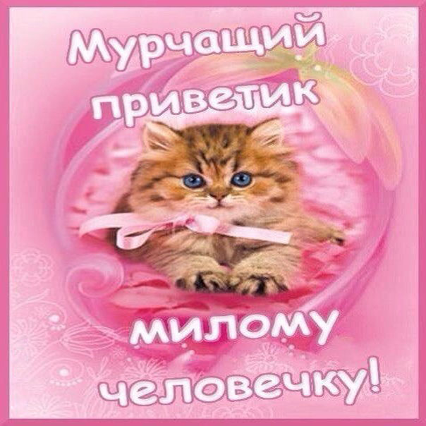 Милому человеку